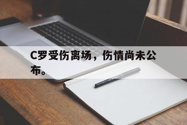 九游游戏盒子下载安装-C罗受伤离场，伤情尚未公布。