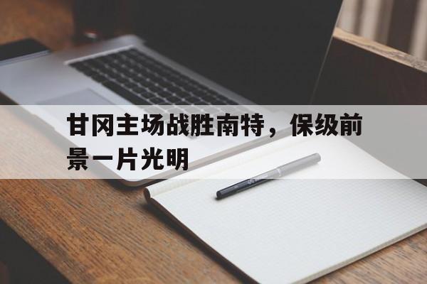九游游戏盒子下载安装-甘冈主场战胜南特，保级前景一片光明